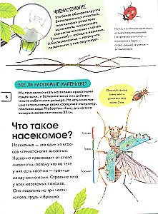 Insects