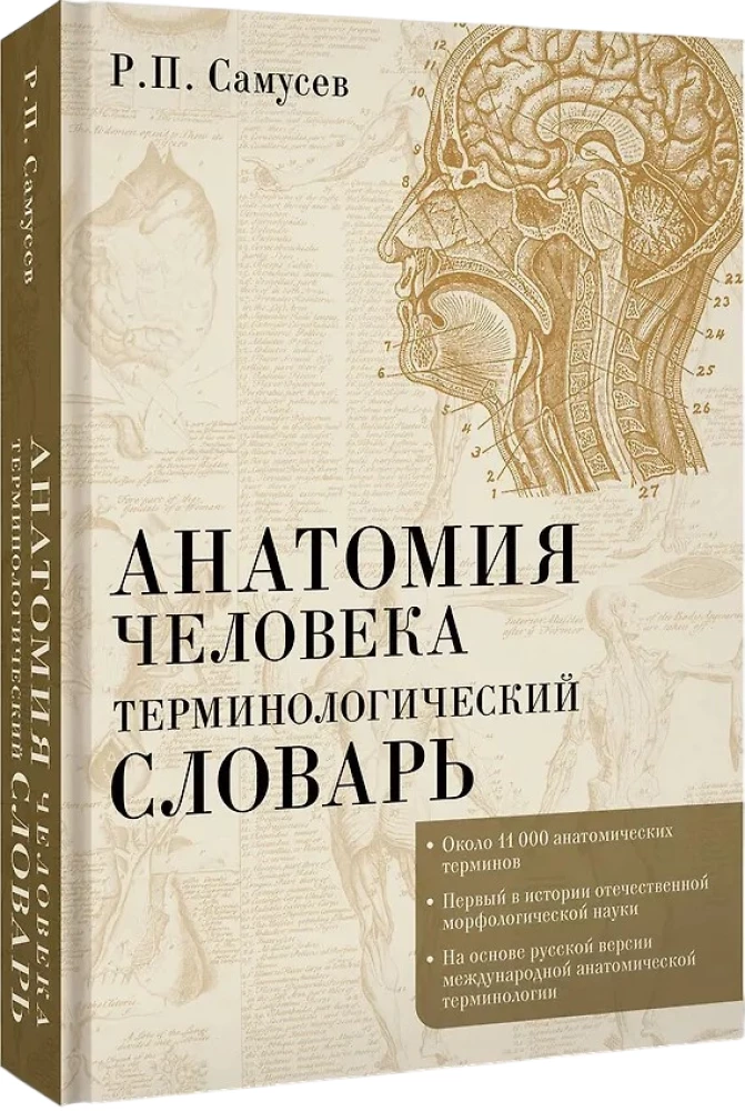 Human Anatomy. Terminological Dictionary