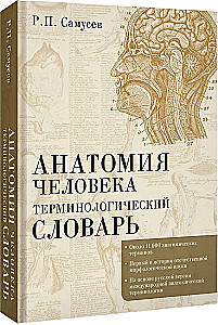 Human Anatomy. Terminological Dictionary