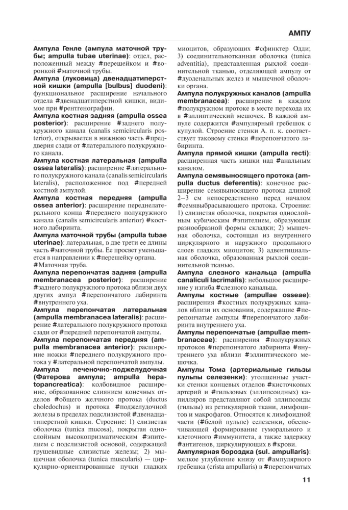Human Anatomy. Terminological Dictionary