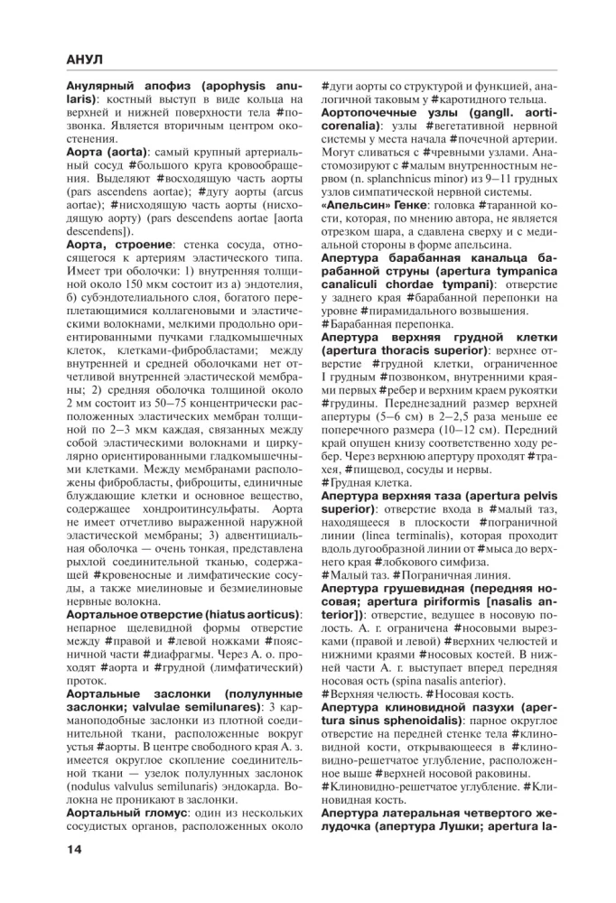 Human Anatomy. Terminological Dictionary