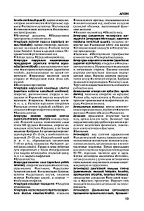 Human Anatomy. Terminological Dictionary