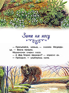 Bajki z zaśnieżonego lasu