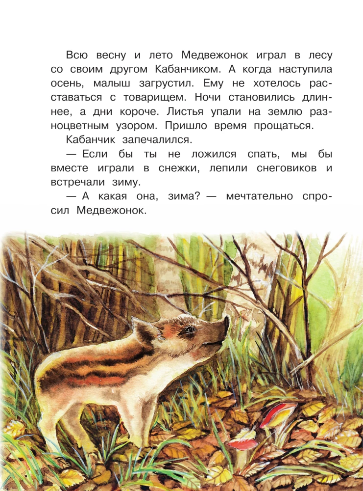Bajki z zaśnieżonego lasu