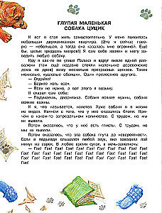 Jak prawidłowo kochać psy