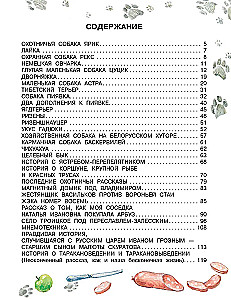 Jak prawidłowo kochać psy