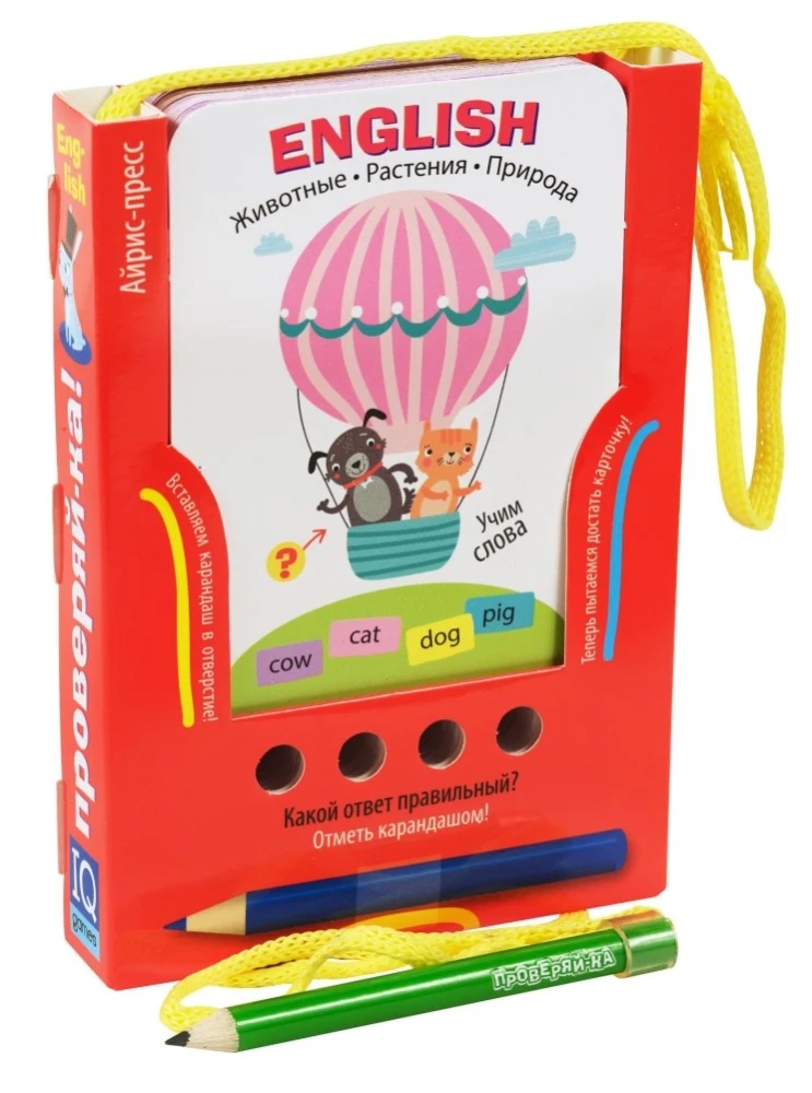 Paket. Großes Set von IQ-Spielen zum Erlernen der englischen Sprache. Niveau 3