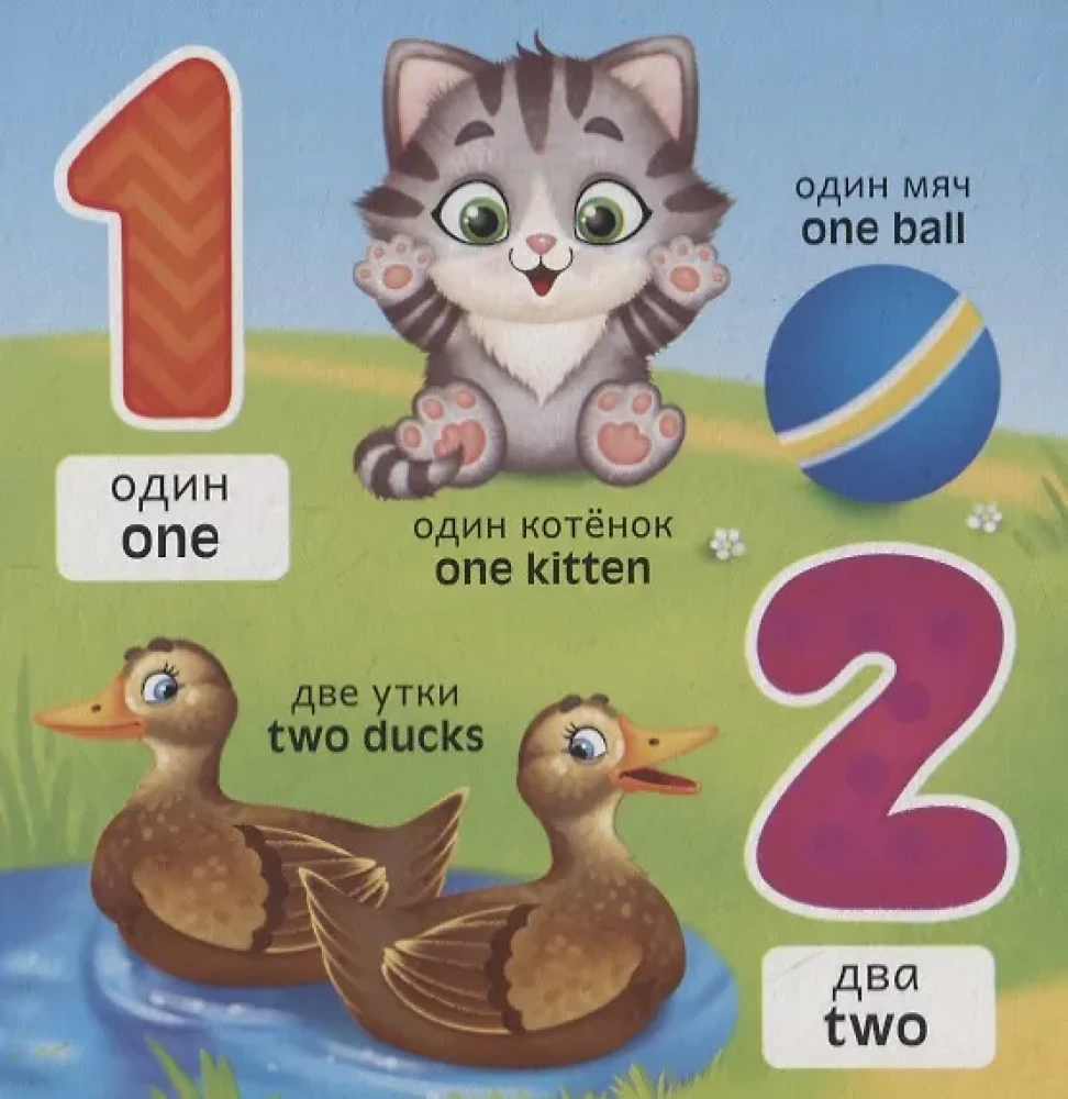 Englisch. Zahlen