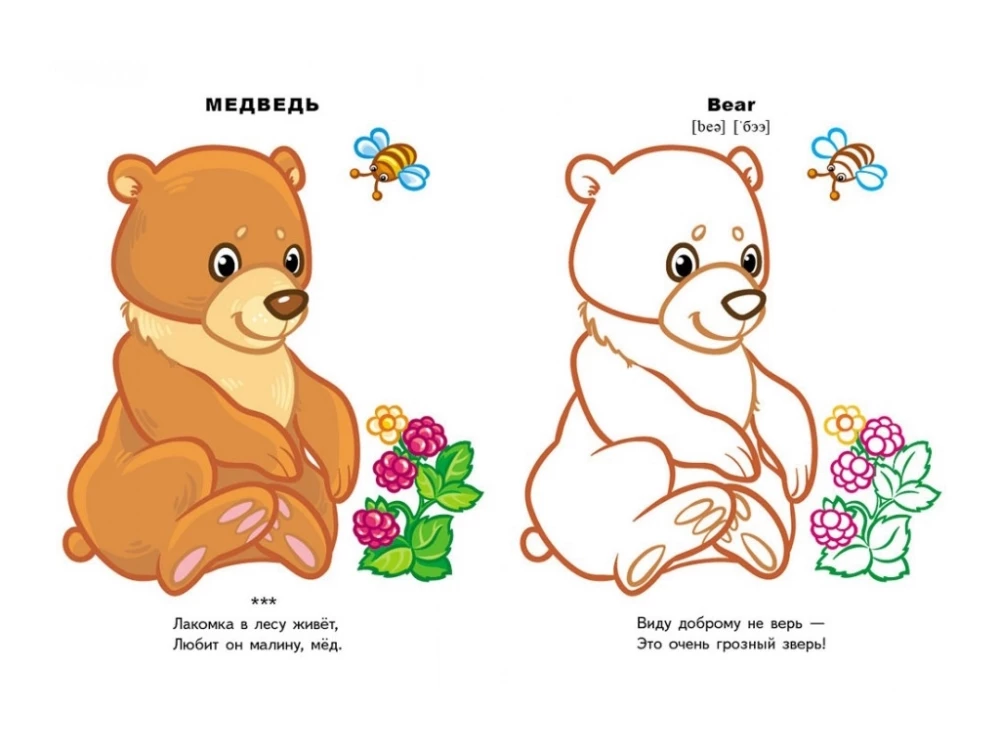 Forest Animals. Look and Color + English Words