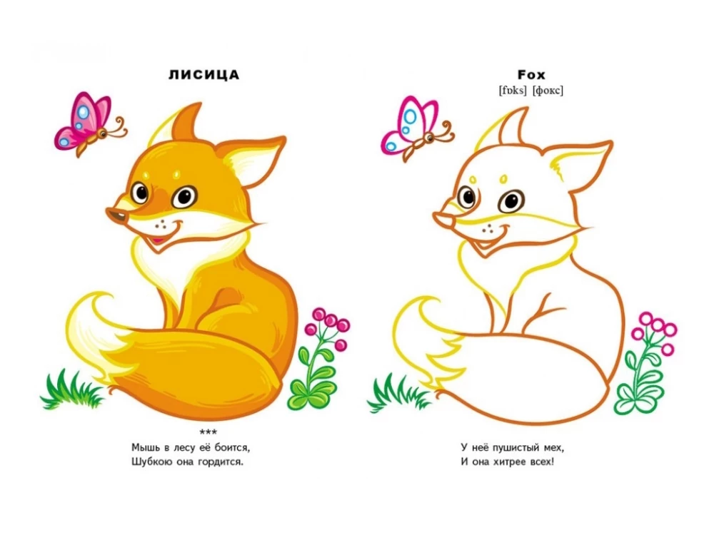 Forest Animals. Look and Color + English Words