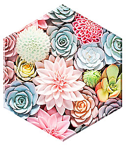 Crystal Diamond Painting by Numbers - Beautiful Succulents. Hexagon, 37x32x1 cm