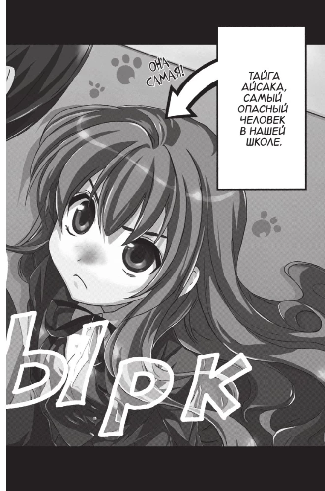 Toradora. Tiger and Dragon. Volume 1