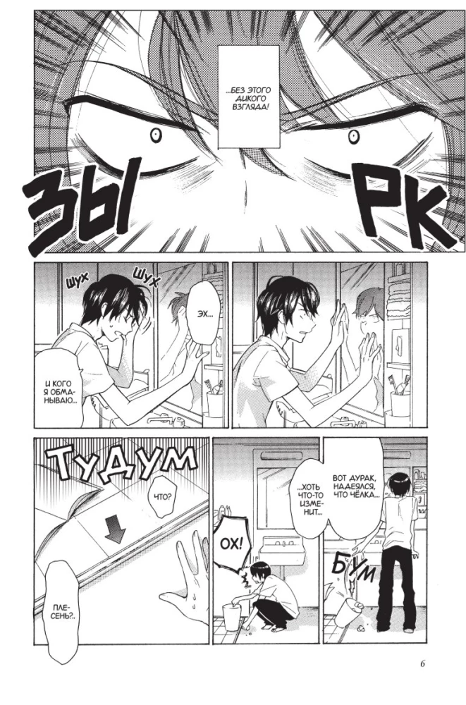 Toradora. Tiger and Dragon. Volume 1