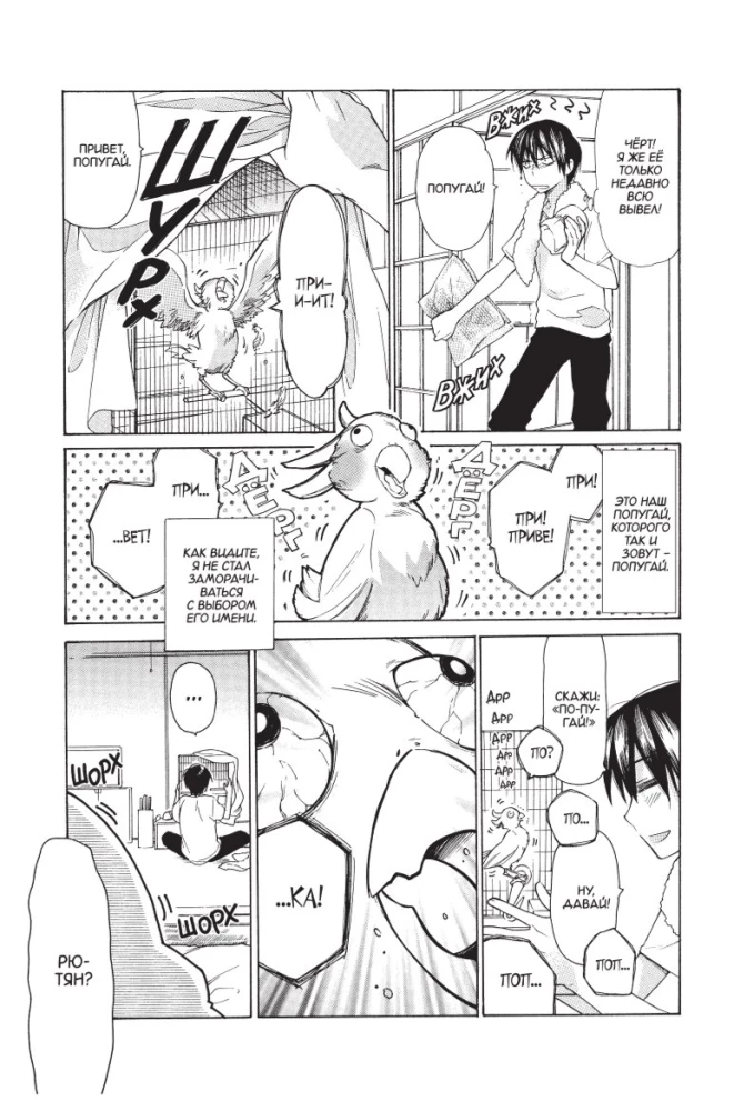 Toradora. Tiger and Dragon. Volume 1