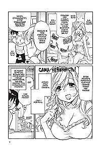 Toradora. Tiger and Dragon. Volume 1