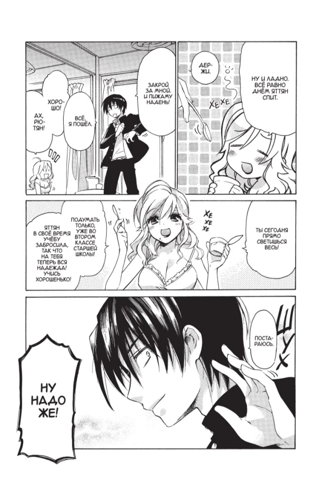 Toradora. Tiger and Dragon. Volume 1
