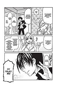 Toradora. Tiger and Dragon. Volume 1