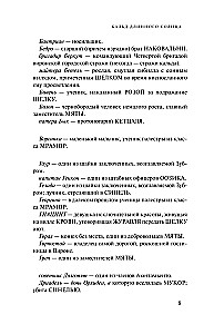 Ilgo saulės Epifanija