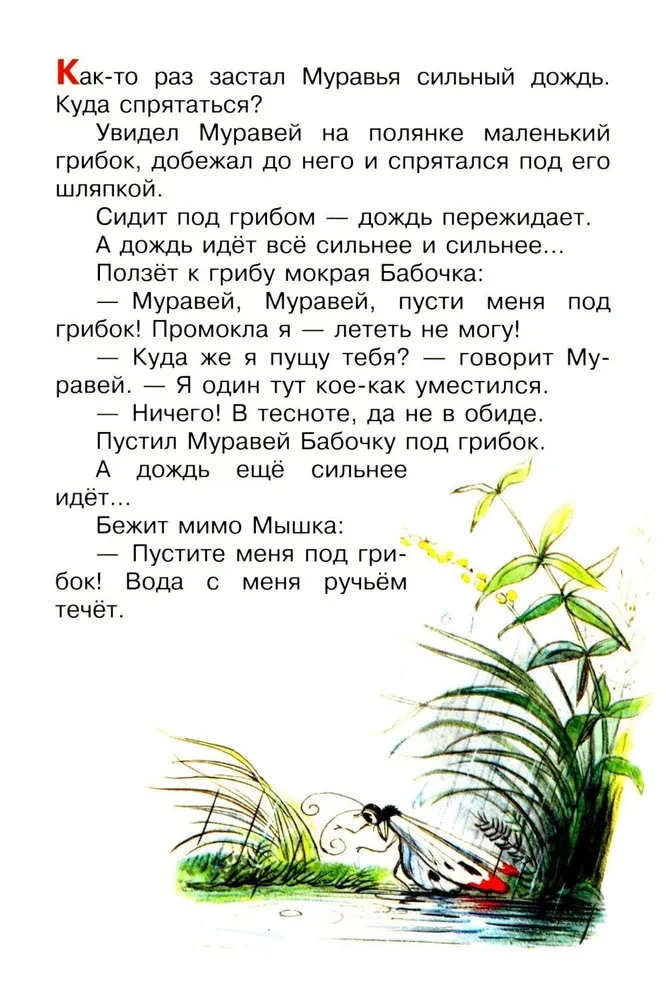 Pod grzybem