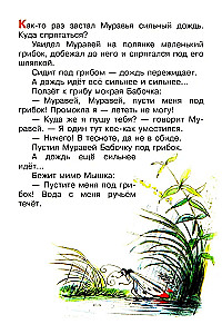 Pod grzybem