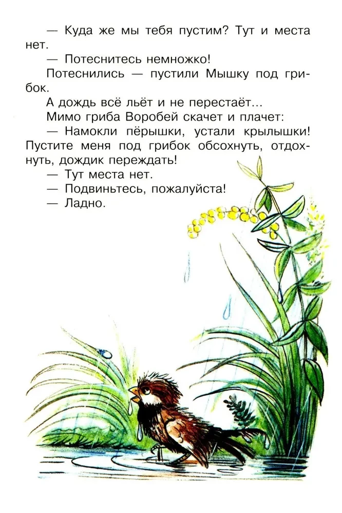 Pod grzybem