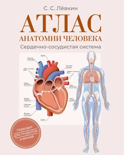 Atlas of Human Anatomy. Cardiovascular System