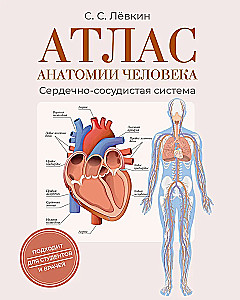 Atlas of Human Anatomy. Cardiovascular System