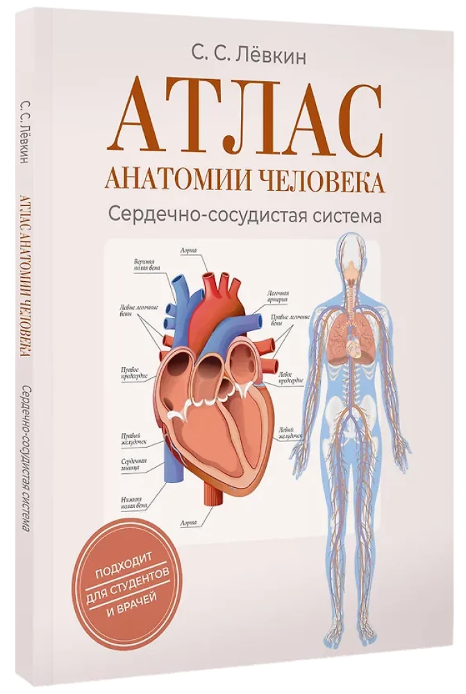 Atlas of Human Anatomy. Cardiovascular System