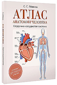 Atlas of Human Anatomy. Cardiovascular System