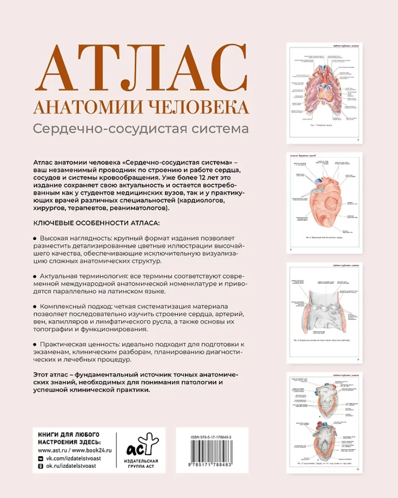 Atlas of Human Anatomy. Cardiovascular System