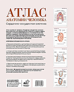 Atlas of Human Anatomy. Cardiovascular System