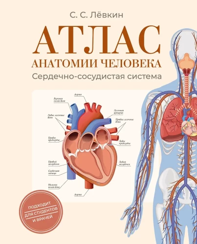 Atlas of Human Anatomy. Cardiovascular System