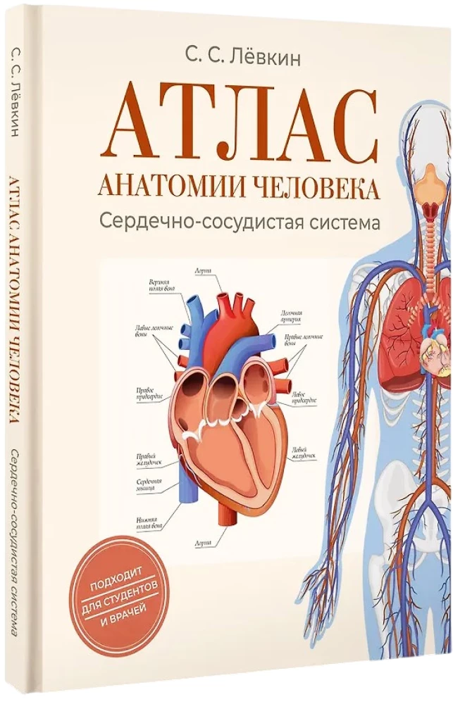 Atlas of Human Anatomy. Cardiovascular System