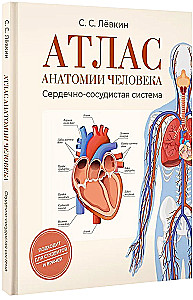 Atlas of Human Anatomy. Cardiovascular System