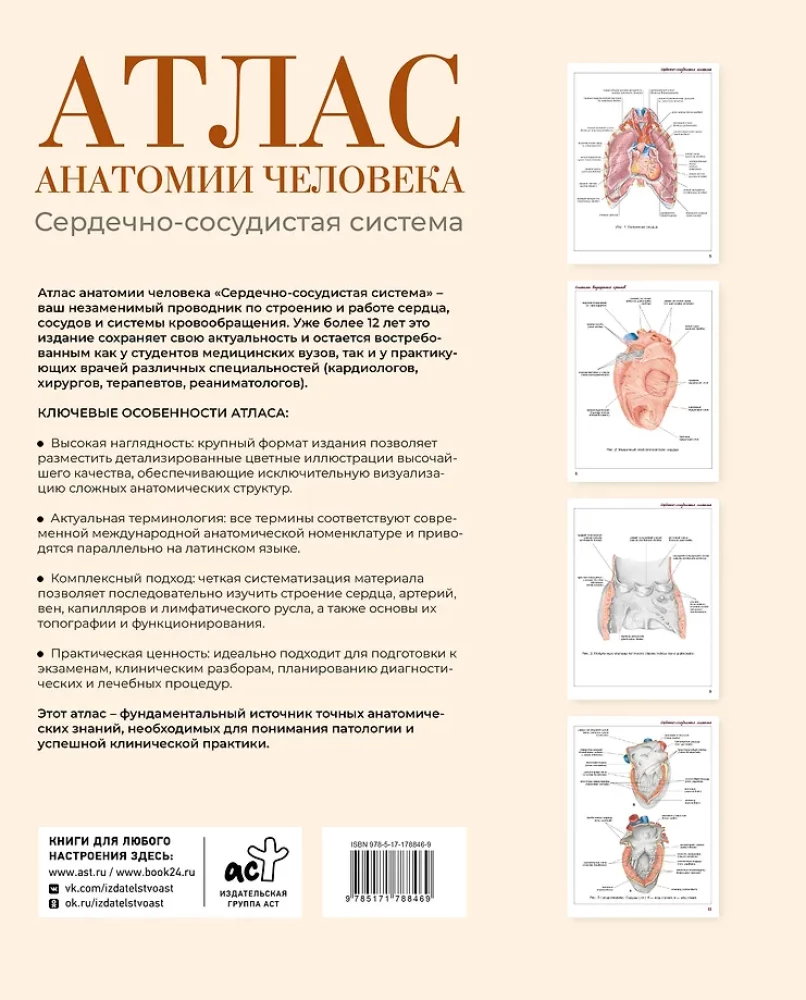 Atlas of Human Anatomy. Cardiovascular System
