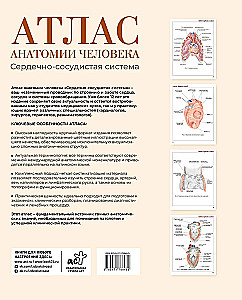 Atlas of Human Anatomy. Cardiovascular System