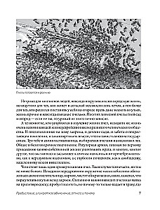 Mesindus algajatele. Praktiline samm-sammuline juhend mesitaru loomisel nullist