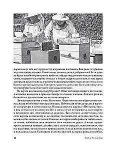 Mesindus algajatele. Praktiline samm-sammuline juhend mesitaru loomisel nullist