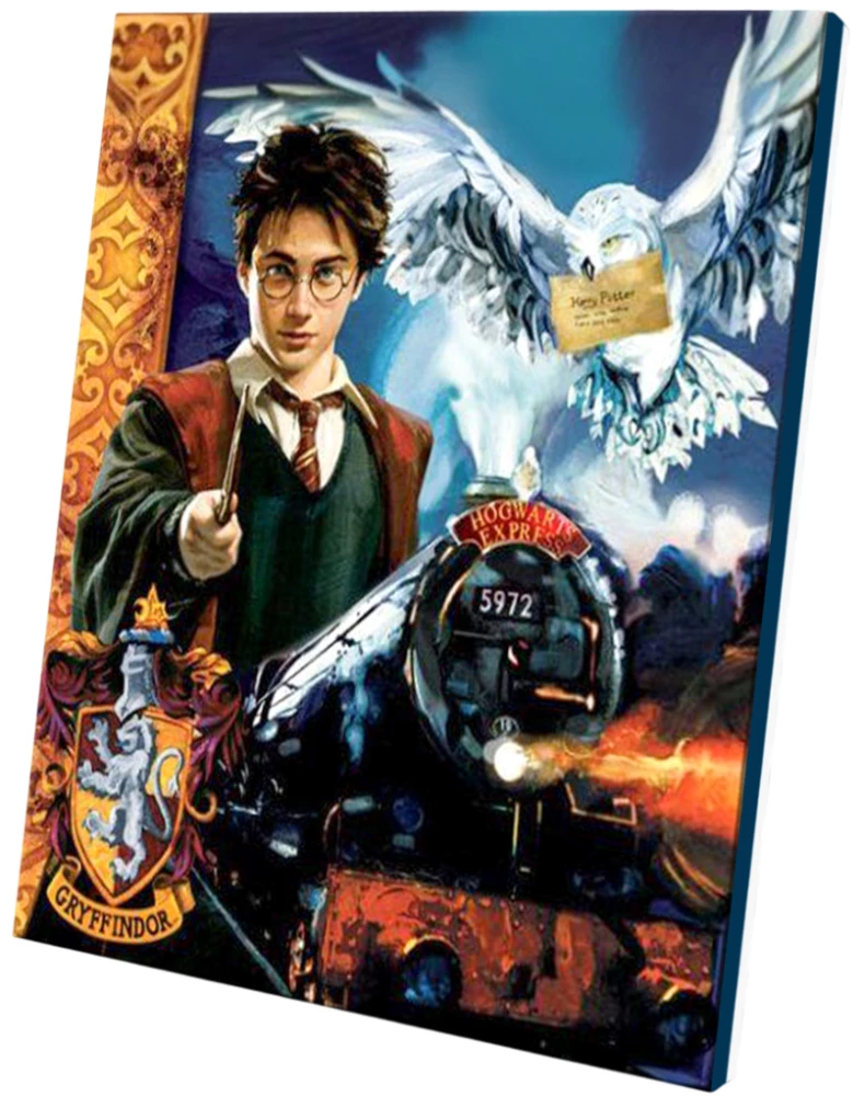 Numbrite maal - Harry Potter, 40x50