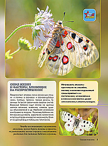 Czerwona księga
