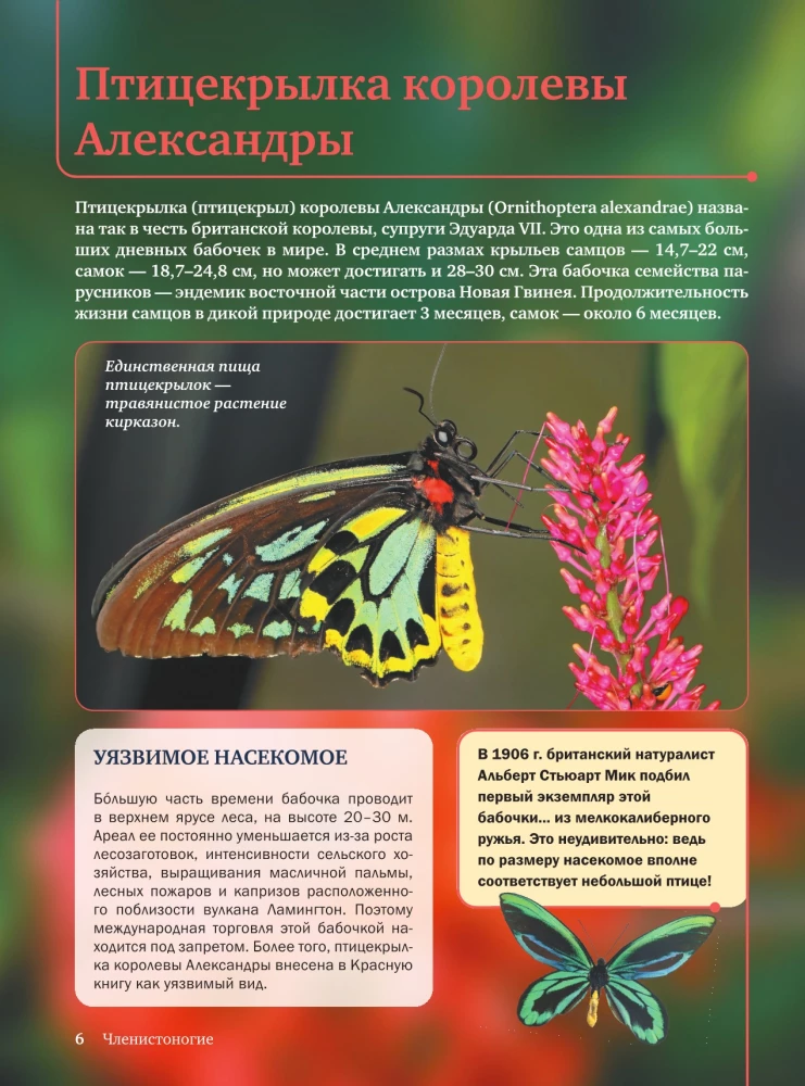 Czerwona księga