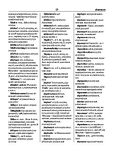 Nowoczesny niemiecko-rosyjski rosyjsko-niemiecki słownik: około 180 000 słów