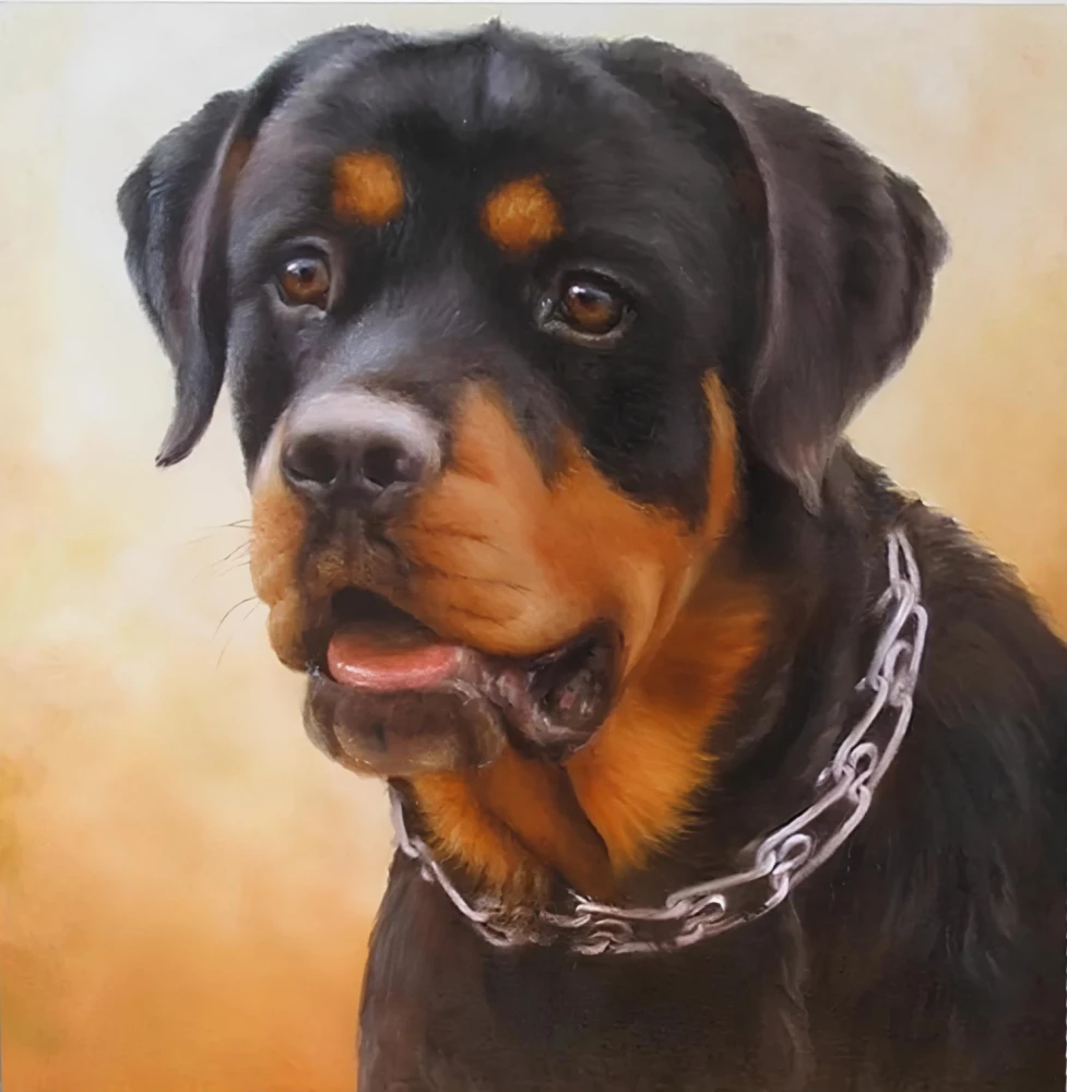 Numbered Painting - Rottweiler, 20x20 cm