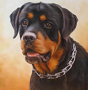 Numbered Painting - Rottweiler, 20x20 cm