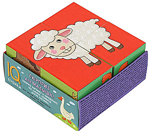 Smart Cubes in a Tray. 4 pieces. Pets