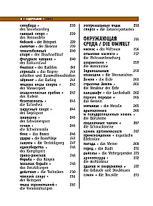 Saksa-vene visuaalne sõnastik kooliõpilastele