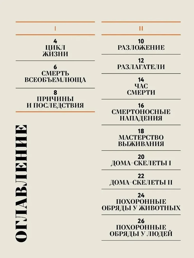 Nuostabi mirties knyga