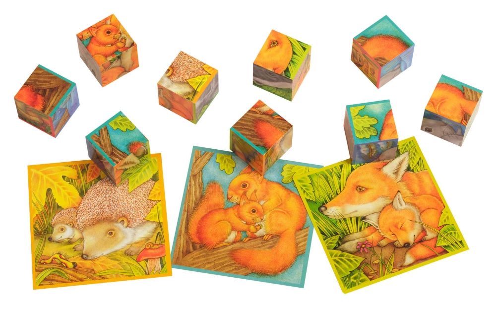 Smart cubes in a tray. 9 pieces. My fluffy pet