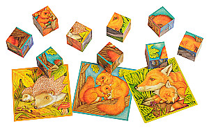Smart cubes in a tray. 9 pieces. My fluffy pet