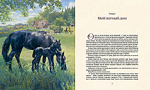 Czarny piękny